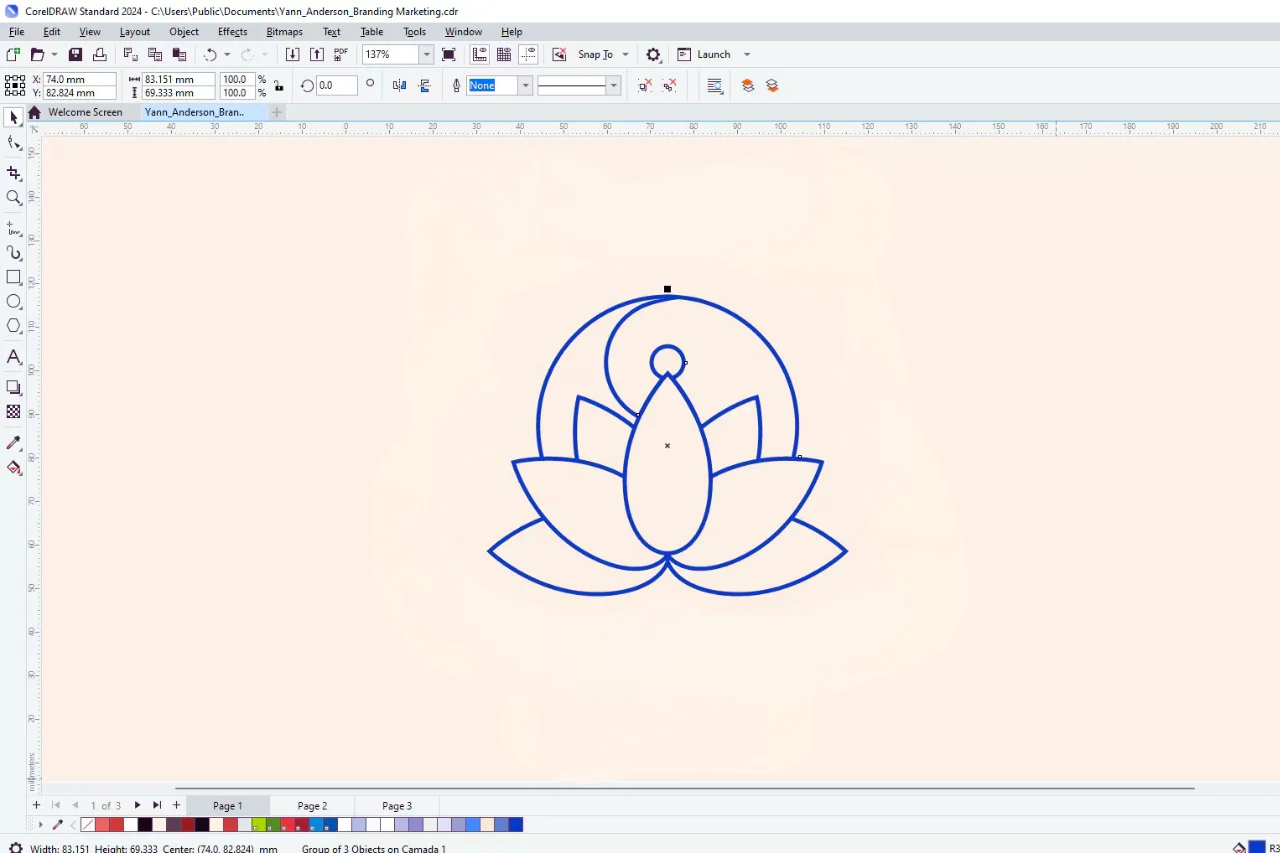 Certificate Course In Coreldraw - CDRAW